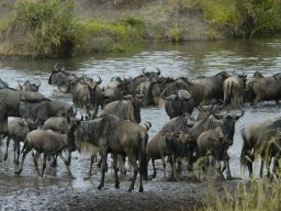 Western_Corridor_(Kirawira)2003-059